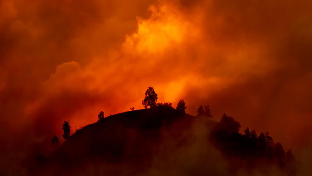 Navigating the California FAIR Plan: What Vallejo Homeowners Need to Know About Wildfire Insurance